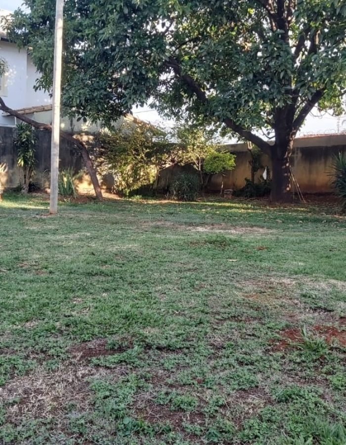Lote – Bairro Mangabeiras