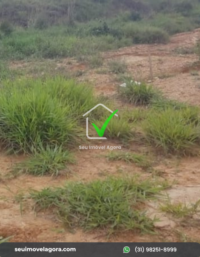 Lote – Paraopeba: Balaios